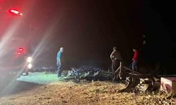 Adıyaman'da odunluk yangını hayvan ağılına ulaşmadan söndürüldü
