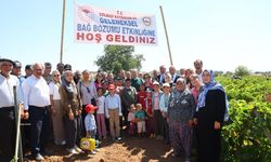 Gölbaşı ilçesinde bağ bozumu şenlikleri başladı
