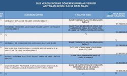 Adıyaman'ın vergi rekortmenleri belli oldu