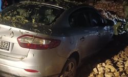 Park halindeki otomobil heyelanda zarar gördü
