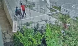 Tekerlekli Sandalyedeki Arkadaşını Yağmurda Yalnız Bırakmadı