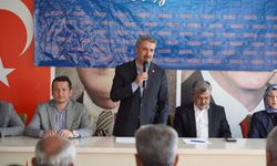 Milletvekili Alkayış: AK Parti'nin gücü sahadaki birlik ve beraberliğidir