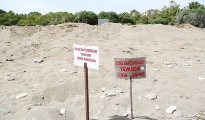 Mezitli Belediyesi, Davultepe 100. Yıl Plajı planına itiraz etti