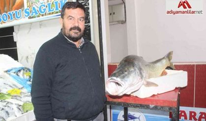Atatürk Barajında dev turna balığı yakalandı