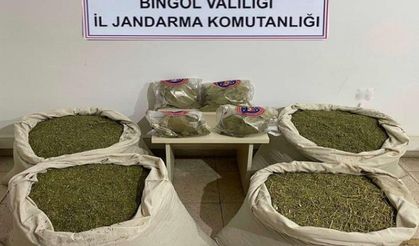 Bingöl’de 145 kilogram esrar ele geçirildi