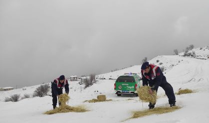 Jandarma ekipleri yaban hayvanlarına yem bıraktı