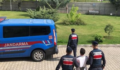 Diyarbakır'da hükümlü 7 kişi yakalandı