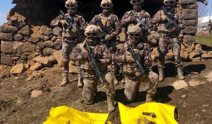 Van'da 2 terörist etkisiz hale getirildi