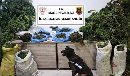 Manav değil uyuşturucu satıcısı