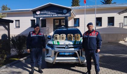 Konteynerdeki kekliklere el konuldu