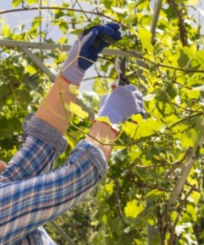 Adıyaman'da Alet, Ekipman ve Makine Dağıtım Töreni düzenlenecek