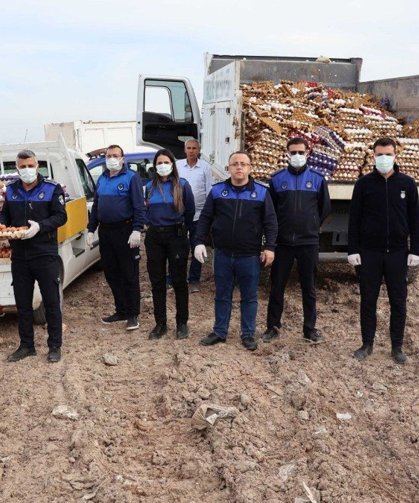 Haliliye'de 5 bin koli yumurtaya el konuldu