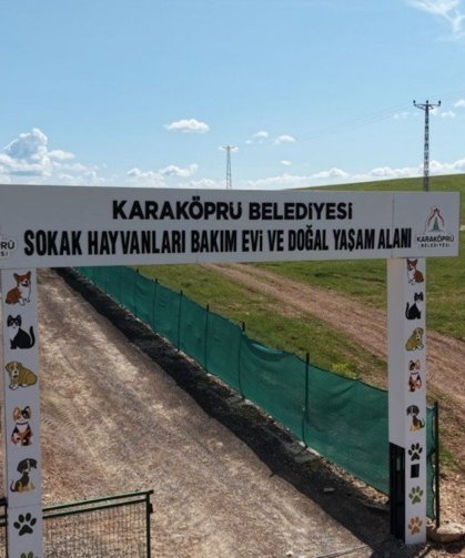 Karaköprü'de sokak hayvanları için doğal yaşam alanı genişletiliyor