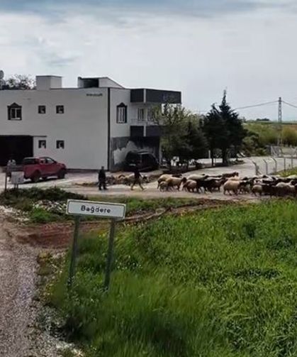 Adıyaman İl Özel İdaresi Çalışmalarını Aralıksız Sürdürüyor - Videolu Haber