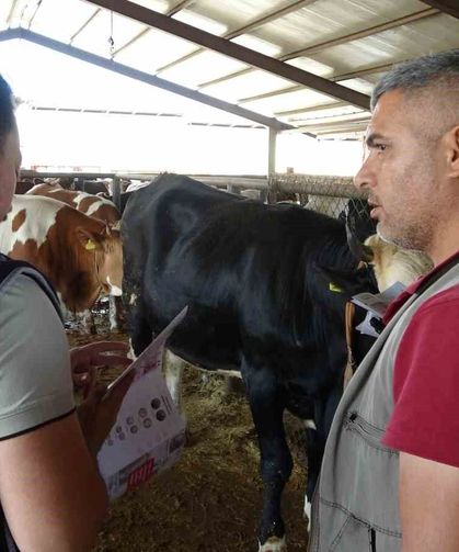Polislerden Kurbanlık Pazarında Sahte Para Ve IBAN Uyarısı