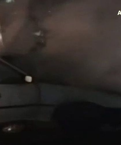 Besni’de Park Halindeki Otomobil Alevlere Teslim Oldu