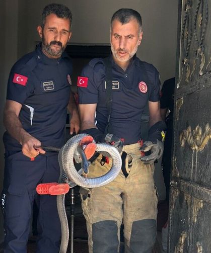 Adıyaman'da Evin Lavabosundan Yılan Çıktı
