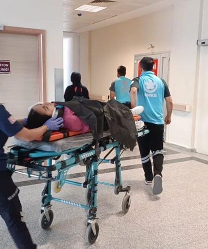 Adıyaman'da Kediden Kaçarken Şarampole Yuvarlandı: 3 Yaralı