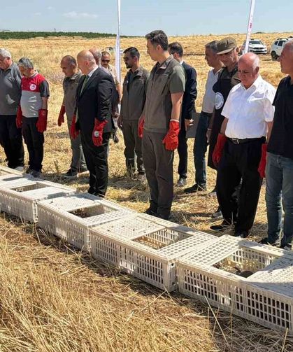 Adıyaman Doğasına Bin Keklik Bırakıldı