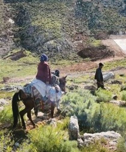 Siirt'te Kalp Krizi Geçiren Kadın Katırla Taşındı