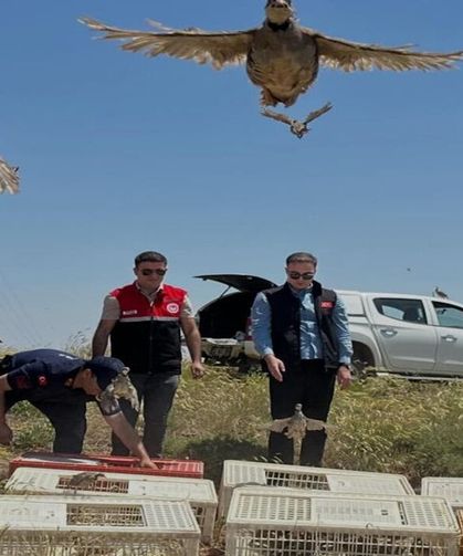 Sincik'te 200 Keklik Doğal Yaşam Alanlarına Bırakıldı