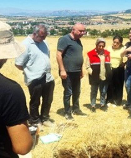 Adıyaman'da Tarım Arazileri İçin Bilimsel Saha Çalışması