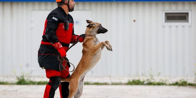 İHH’nın arama kurtarma köpekleri 50 kişinin kurtulmasına vesile oldu  - Videolu Haber