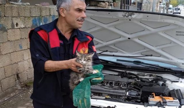 Otomobilin motor kısmına sıkışan kediyi itfaiye kurtardı - Videolu Haber 