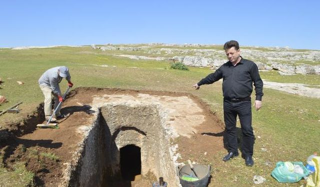 Roma dönemine ait 60 aile mezarlığı bulunan alanda kazı çalışmaları başladı - Videolu Haber 
