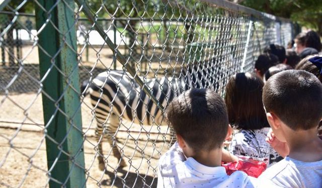 Yaz Okulu öğrencileri hayvanat bahçesini gezdi