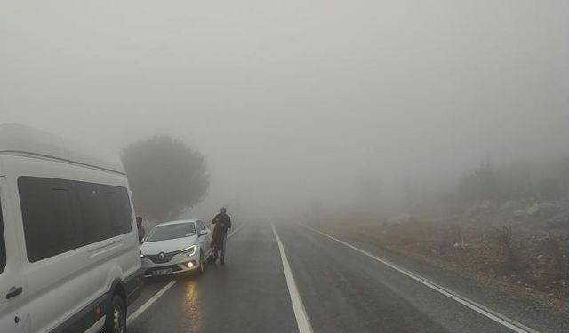 Yoğun sis sürücülere zor anlar yaşattı - Videolu Haber 