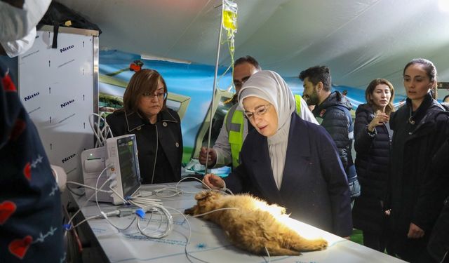Emine Erdoğan deprem bölgesi Nurdağı ve İslahiye ilçelerini ziyaret etti 