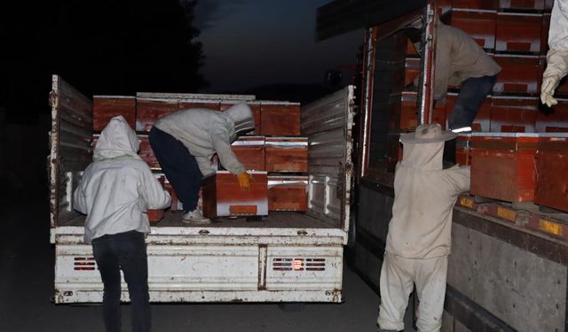 Adıyaman'da 162 çiftçiye 2 bin 430 kovan arı dağıtıldı  - Videolu Haber