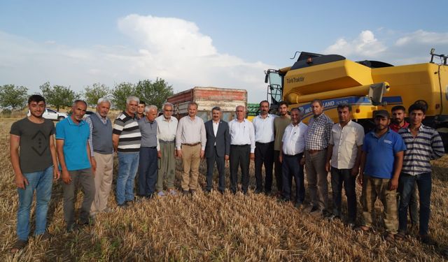 AK Parti Milletvekili Alkayış, arpa hasadına katıldı  - Videolu Haber