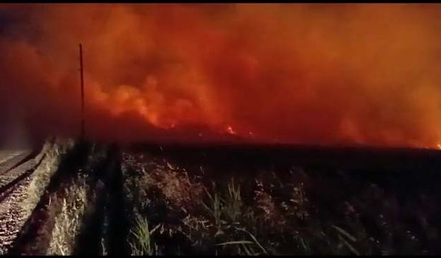 Gölbaşı’nda 40 dönüm buğday tarlası yandı  - Videolu Haber