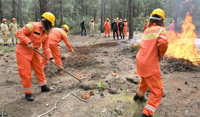 Orman yangınları yüzde 90 insan kaynaklı!