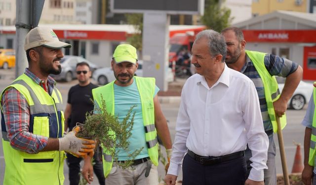 Adıyaman’da refüj ve kavşaklar yenilenmeye devam ediyor 