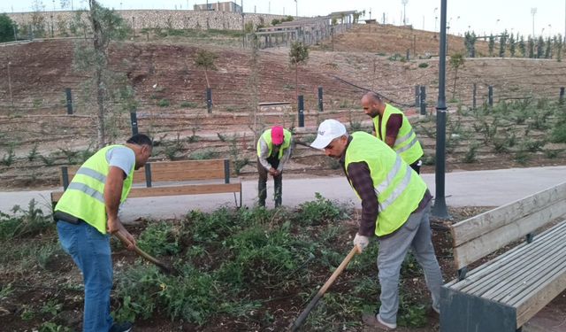 Kent merkezinde çevre düzenleme çalışmaları devam ediyor