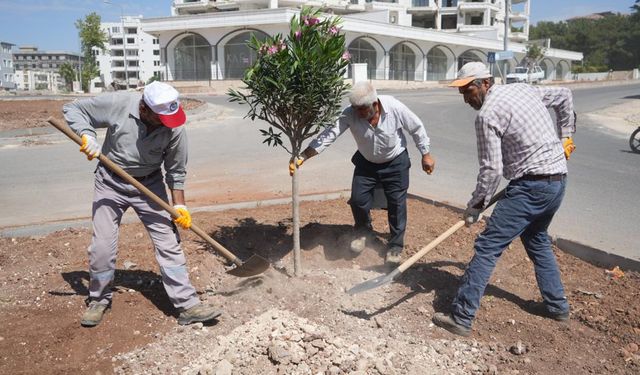 Adıyaman Belediyesi Peyzaj çalışmalarına devam ediyor 