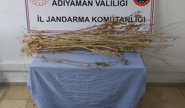 Adıyaman'da 496 gram uyuşturucu ele geçirildi