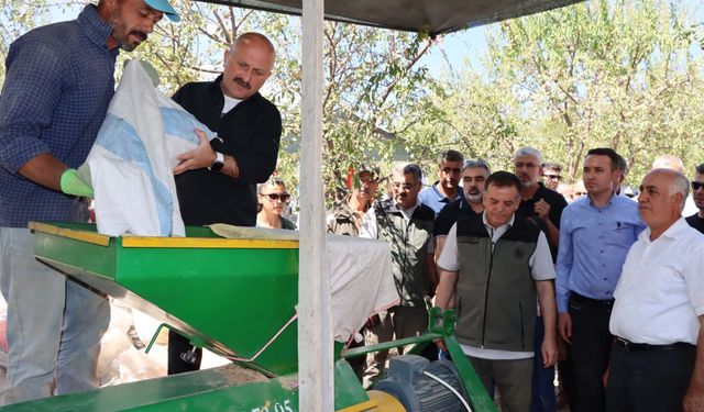 Adıyaman'da badem hasadı başladı 