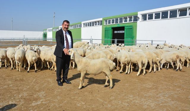 Başkan Çelik:13 yöresel hayvancılık hibe projesi uygulamasına başlanılacak 