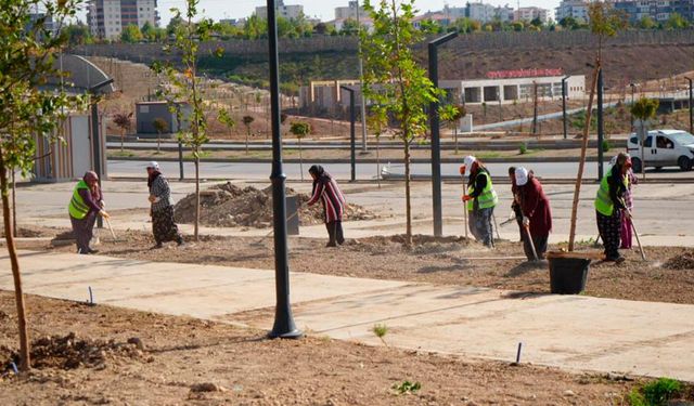 Adıyaman Millet Bahçesi ağaçlandırılıyor