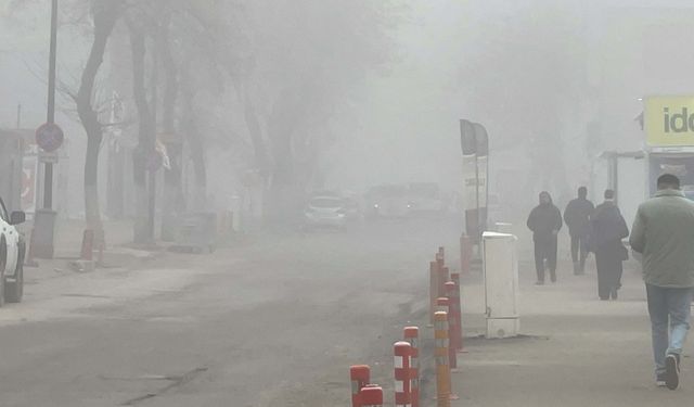 Malatya'da sis hayatı olumsuz etkiledi  - Videolu Haber