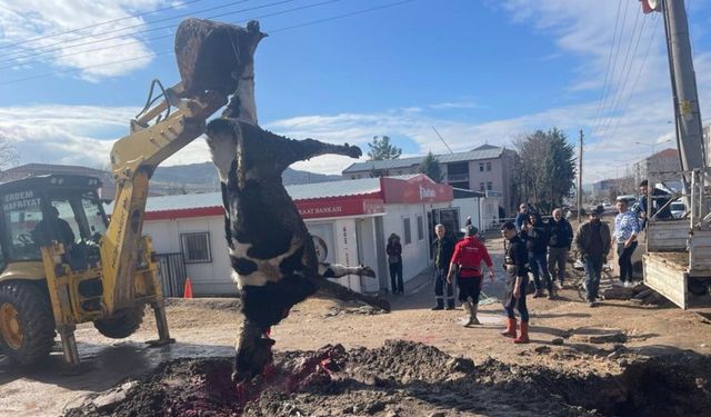 Banka müdürünün tayini çıktı sevinçten kurban kestiler 