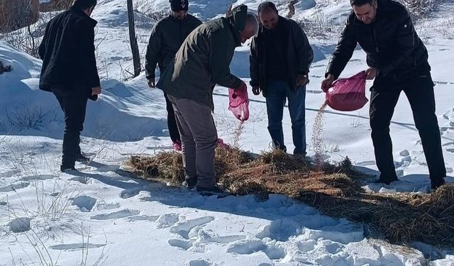 Adıyaman'da yaban hayvanları yem bırakılıyor