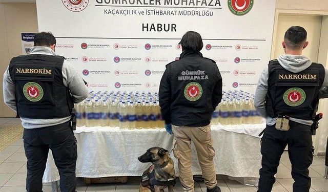 Habur Gümrük Kapısı'nda zehir operasyonu