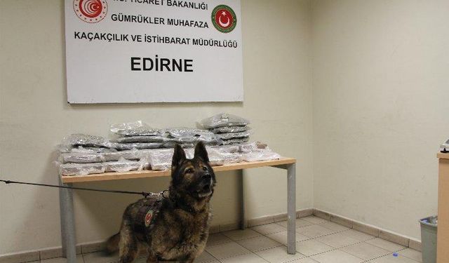 Kapıkule’de 33 kilogram uyuşturucu yakalandı