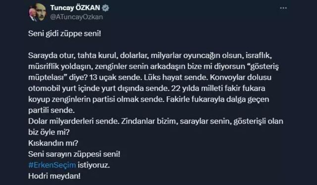 Cumhurbaşkanı Erdoğan'dan, Tuncay Özkan'a 250 bin liralık tazminat davası 