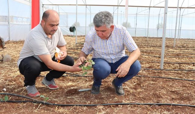 Tarımda yeni dönem başlıyor  - Videolu Haber